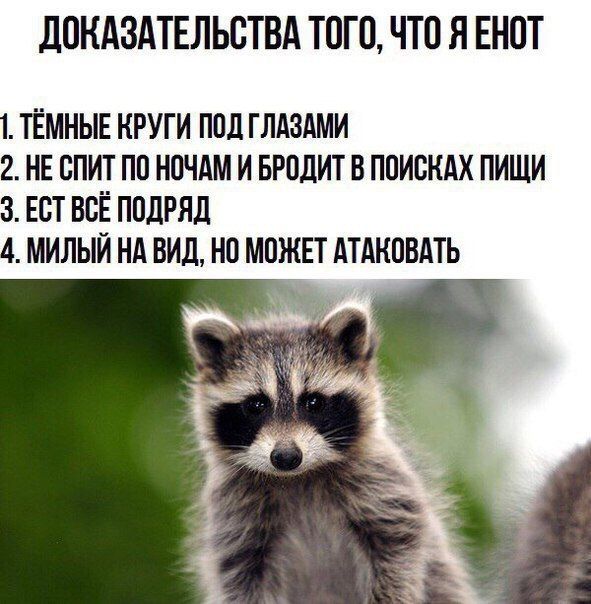 Подборка интересных и веселых картинок