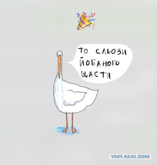Ребят жопа что то у меня, жена свалила