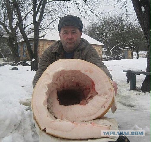 Когда жизнь удалась!