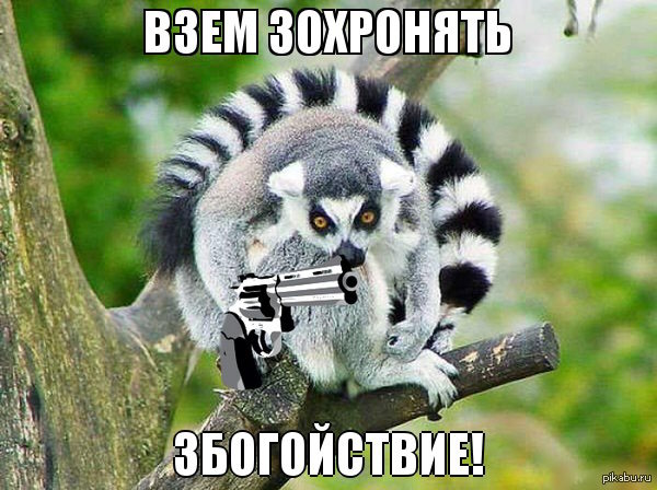 Репортёра Би-би-си «атаковали» лемуры во время съёмки сюжета в зоопарке