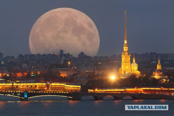 Максимально простой вопрос о полетах американцев на Луну