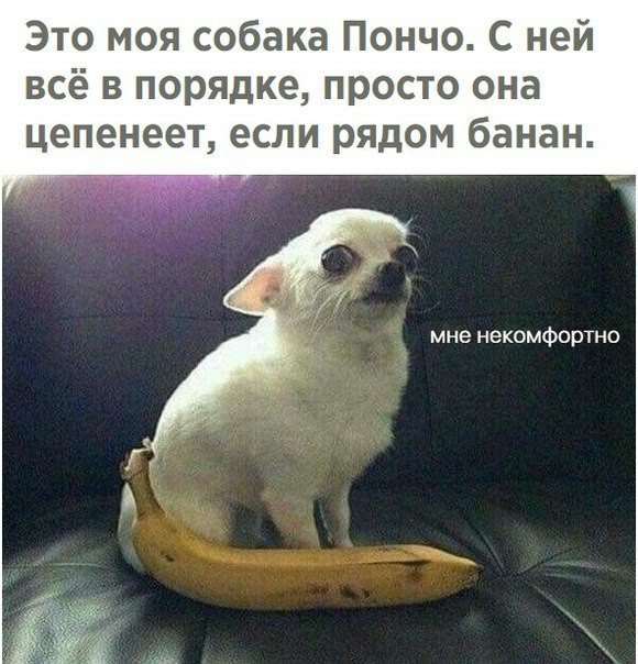 Прикольные картинки обо всем