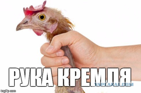 ВСУ: войско сумасшедших уголовников