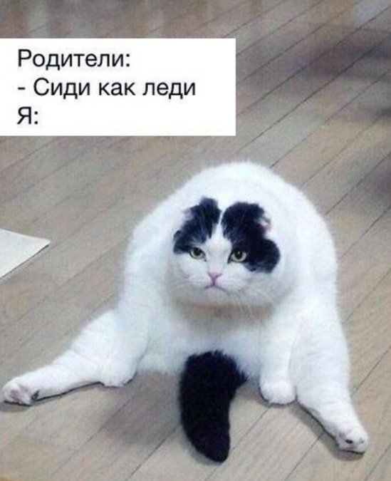 Нестандартный юмор