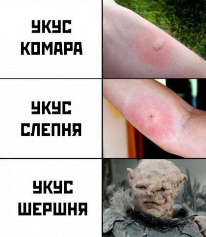 Подборка интересных и веселых картинок