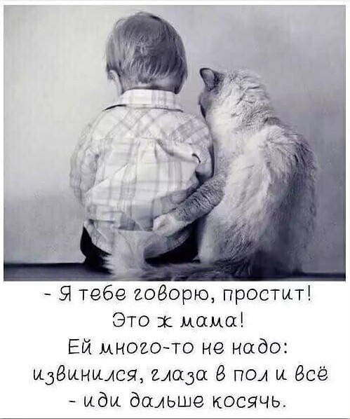 Картинки с надписями и анекдоты
