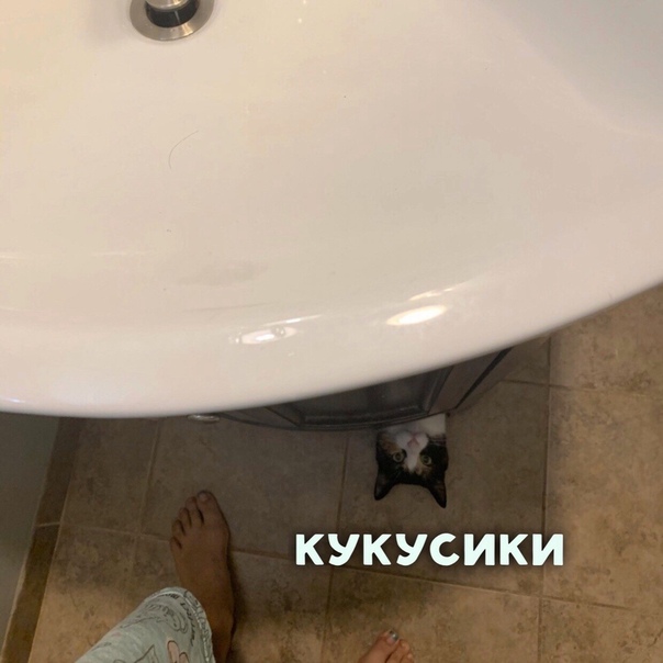 Немного картинок для настроения 10.10.19