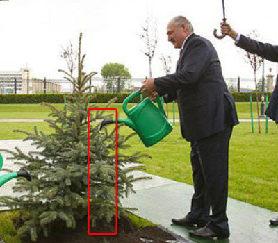 20 фотографий, на которых явно что-то не так. Угадаешь?