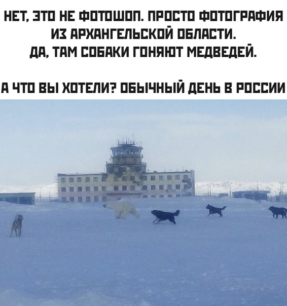 Чуток картинок. 29.02.20