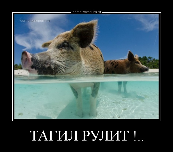 Общак господина Путина