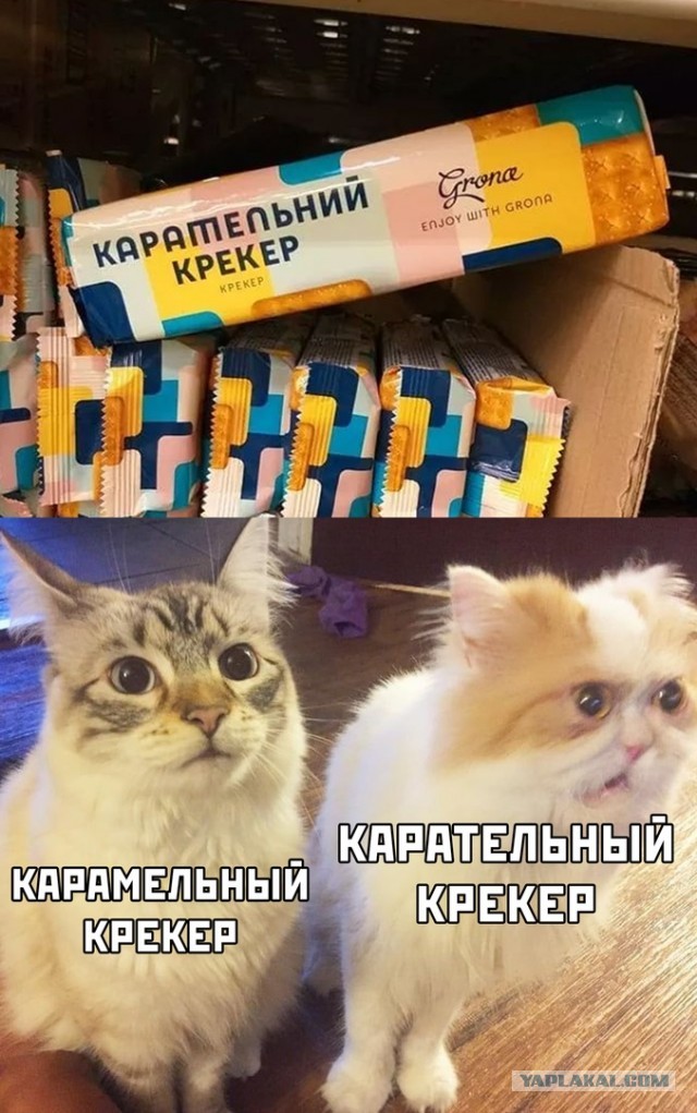 Так себе картинки 14.05.20