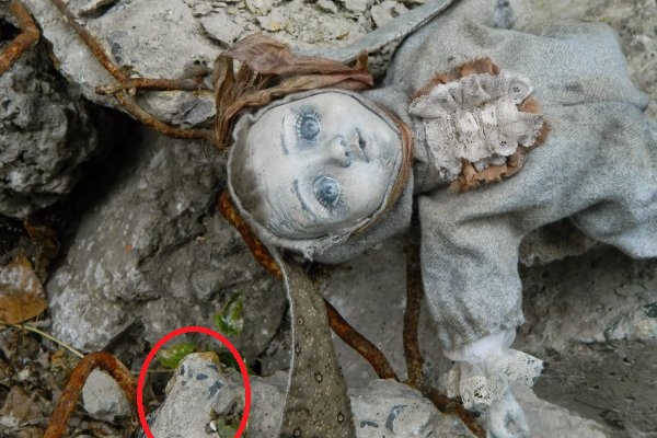 Давайте делиться фотками прошедшего дня