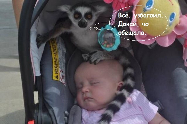 Прикольные и просто красивые картинки 22.07.2020