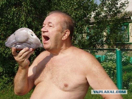 Огородник и урожай