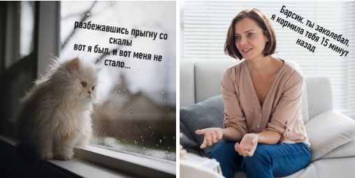 Юмор в картинках 21.08.20