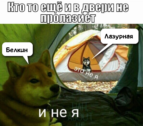 Интервью девушек