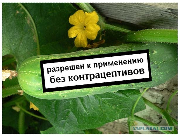 А почему на конфетах нет предупреждений?