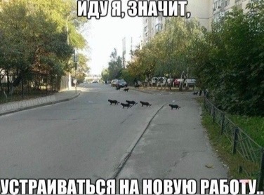 Картинки для настроения.9.02.