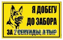 Вот это поворот!