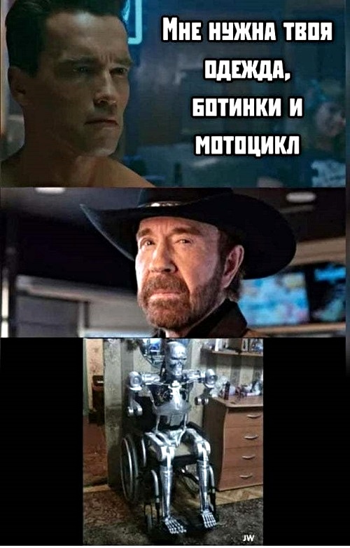 «Я хочу встретиться с тобой лицом к лицу». Житель Прикамья создал настоящего Терминатора, и теперь он жаждет встречи с Арнольдом