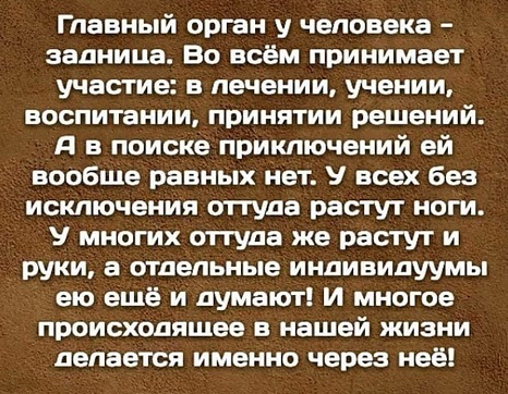 Так себе картинки 11.09.21