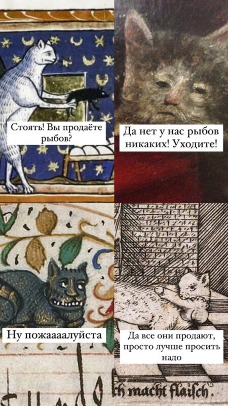 Рыбов, показываю. Красивое