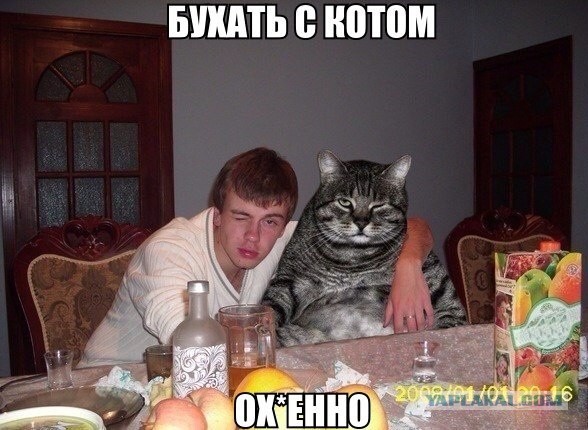 Ну спасайте теперь, ЯПовцы!