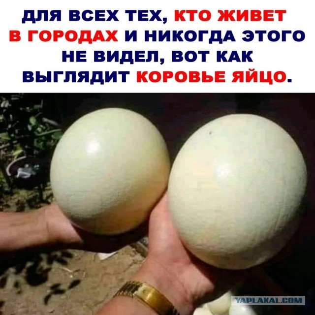 Четверг, а значит пора начинать деградировать...