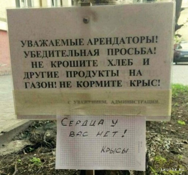 Малахольная накупила цыганкам продуктов