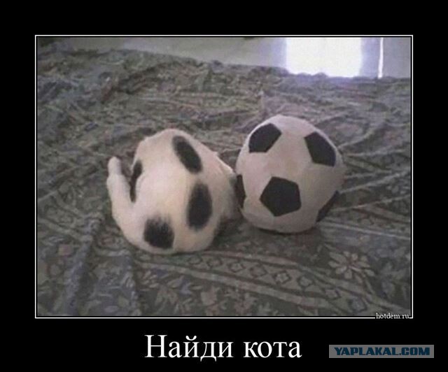Так себе картинки 08.04.22