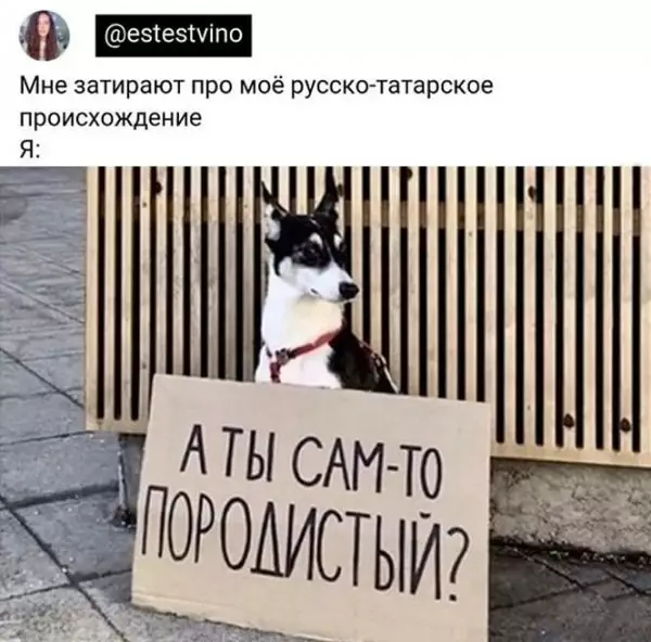 Картинки и мемы для настроения - 19