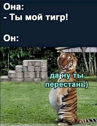 Весёлый полтишок 29.06.22