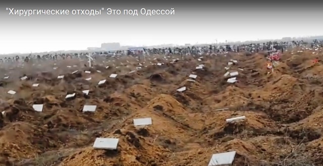 Торговля органами в бедных странах