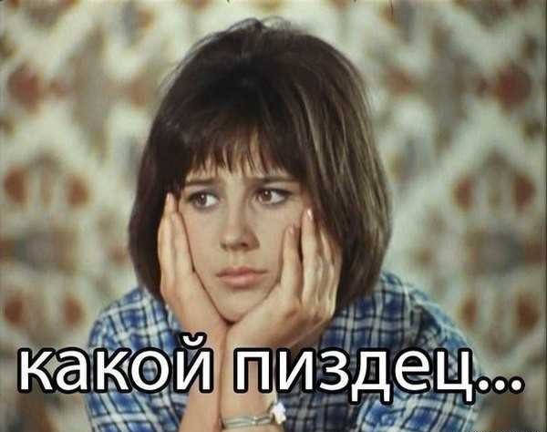 Волк ворвался в поместье главы Еврокомиссии и загрыз пони