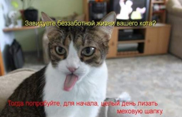 Немного картинок для настроения - 117