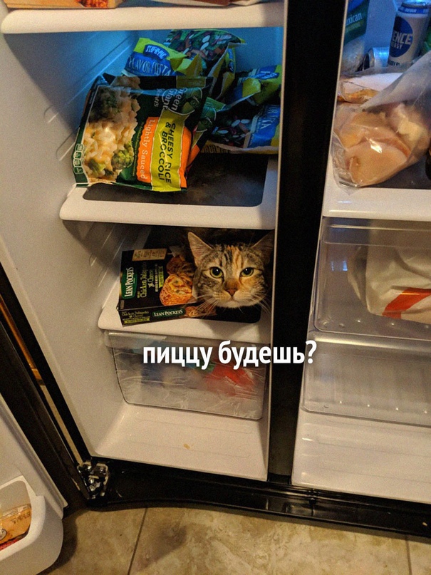 Немного картинок для настроения - 127