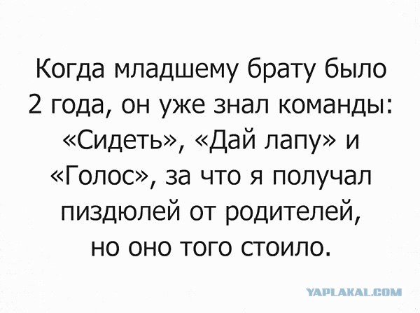 Перлы 10.12.22