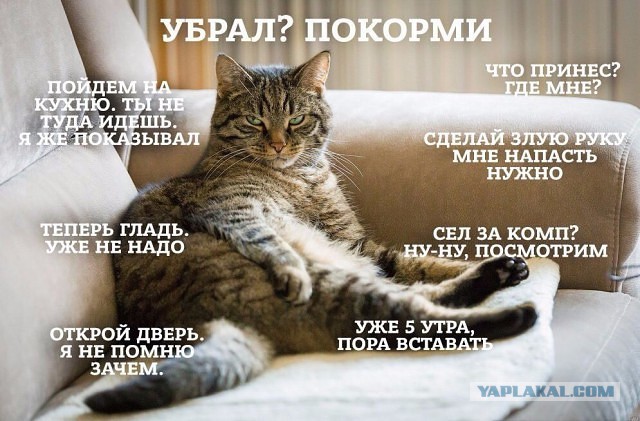 Немного картинок для настроения - 131