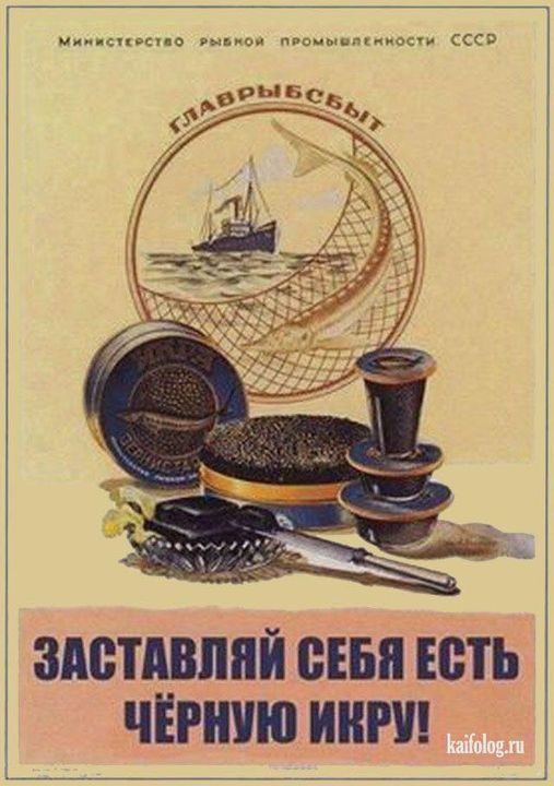 Весёлый полтишок 29.12.22