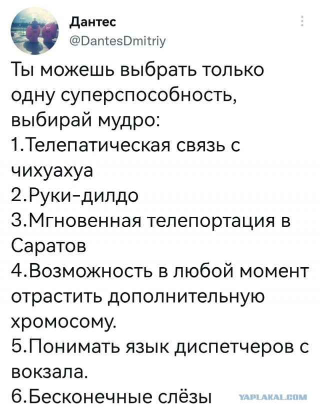 Юмор в картинках и без 16.02.2023