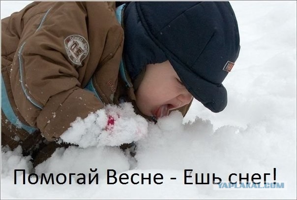 Погода снова пошутила...