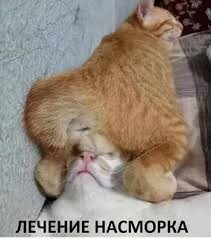 Всего понемногу. От 06.05