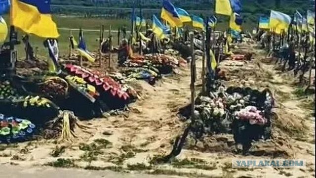ВСУ движутся на польских и немецких Леопардах в контрнаступ