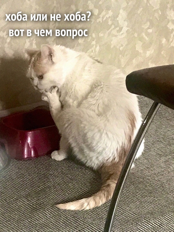 Картинки и мемы для настроения - 187