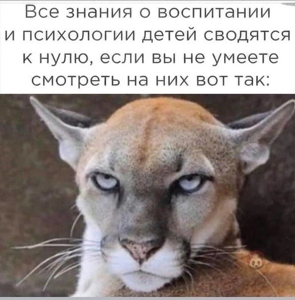 Скупка краденого из сети 06-06-2023