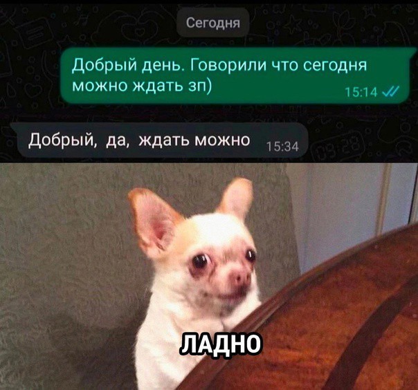 Баяны разной степени давности.