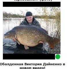 Автодемотиватор на ЯПе