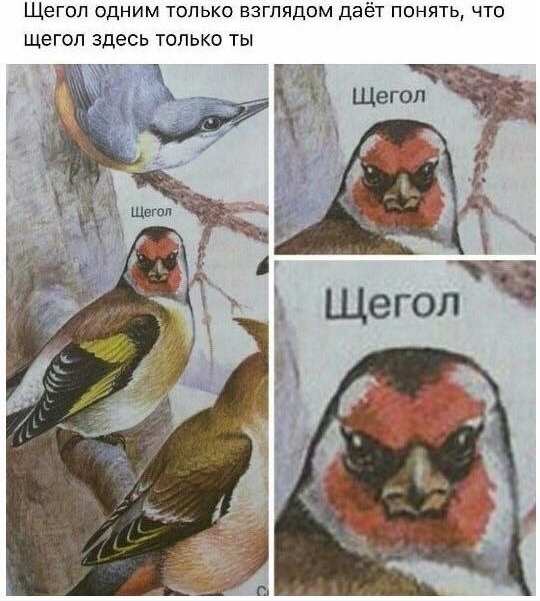 Завалялось тут случайно немного забавных картинок