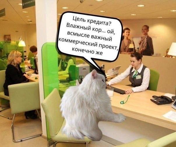 Выходите на первой же остановке