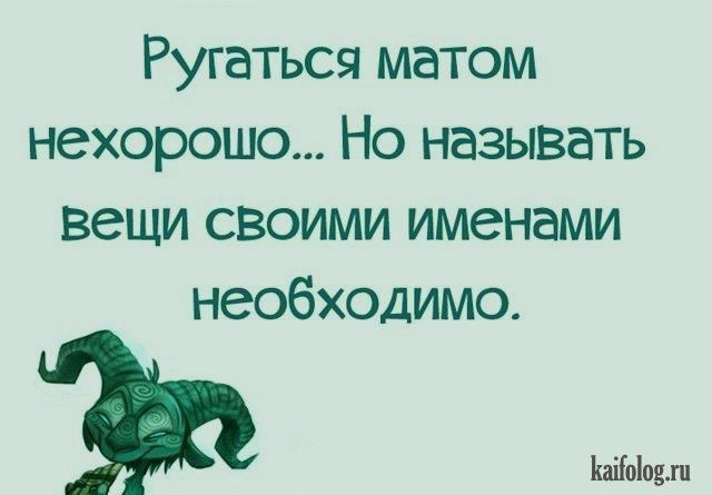 В Госдуме предложили увеличить штрафы за мат в общественных местах и интернете до ₽10 тыс.